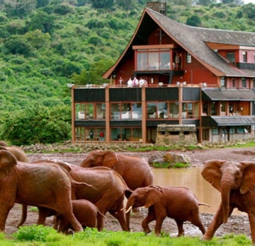 3 Days /2 Nights Road Package to Aberdares National Park | Kenya Safari 
