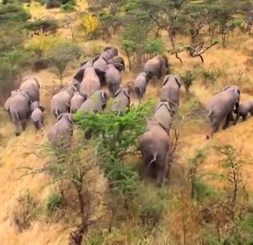 6 Day Gorilla Akagera and Lake Kivu Tour | Rwanda Safar