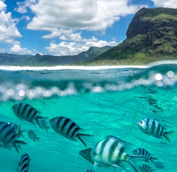 5 Days/ 4 Nights Mauritius | Mauritius Resorts